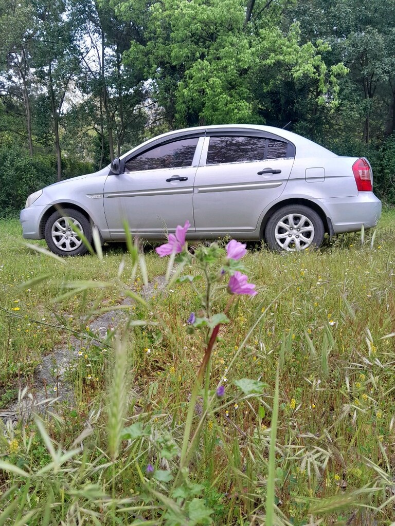 hyundai accent era 2009 çiçek motor yeni - 2