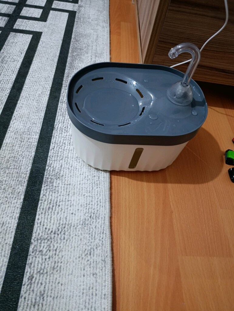 kedi su pinari - 2