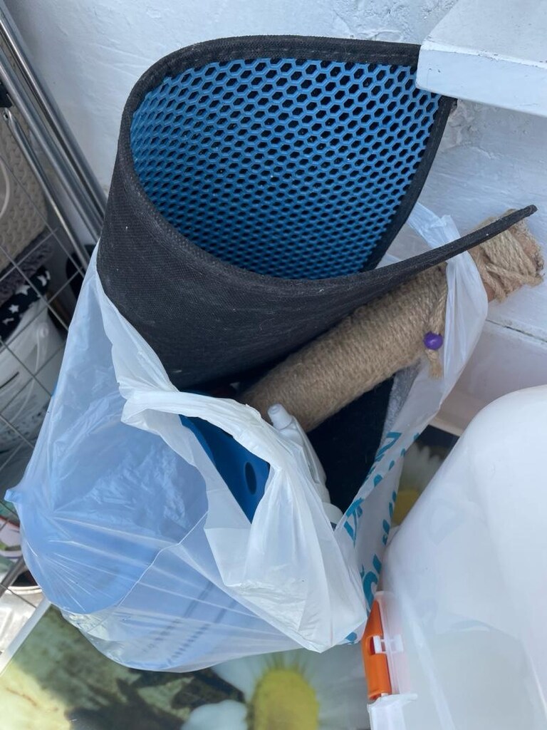 Kedi kumu kabı ve daha fazlası.. parça halinde satmıyorumm!! - 4