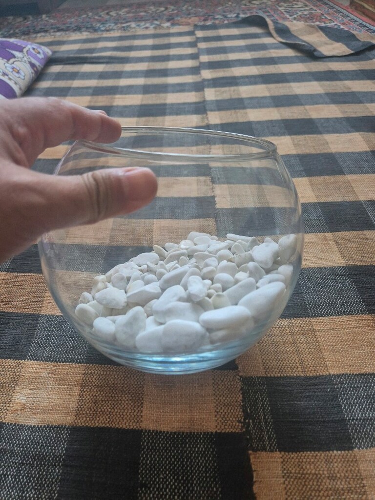 akvaryum