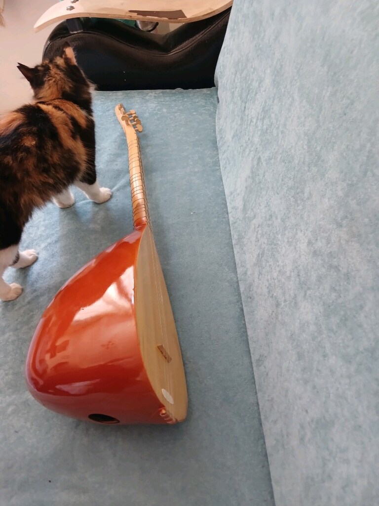 saz bağlama twtemiz çızık yok - 6