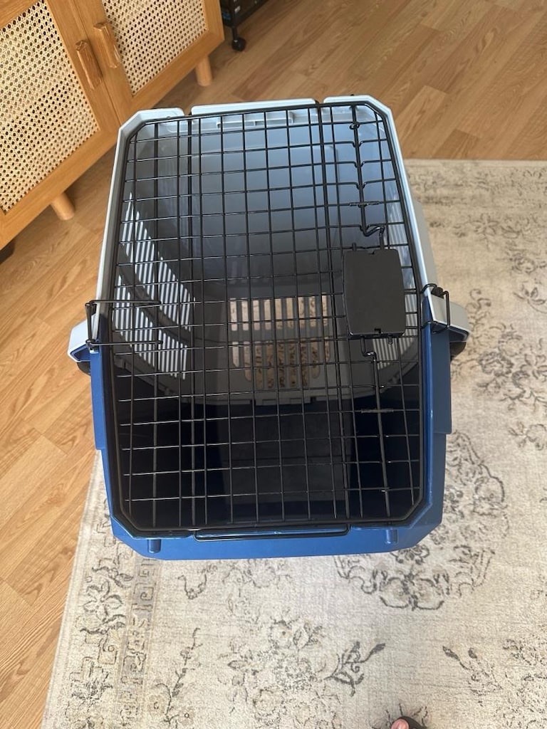 Sıfır Ayarında Köpek/Kedi Taşıma Boxı - Hiç Kullanılmadı - 2