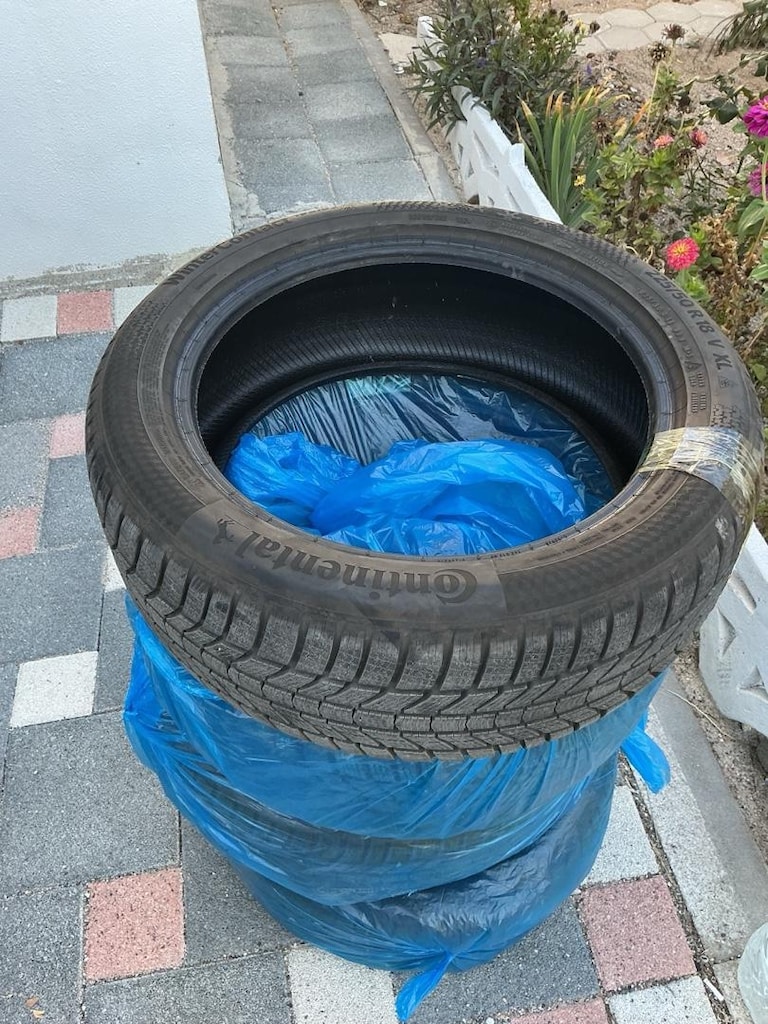 Kışlık Oto Lastiği - 2