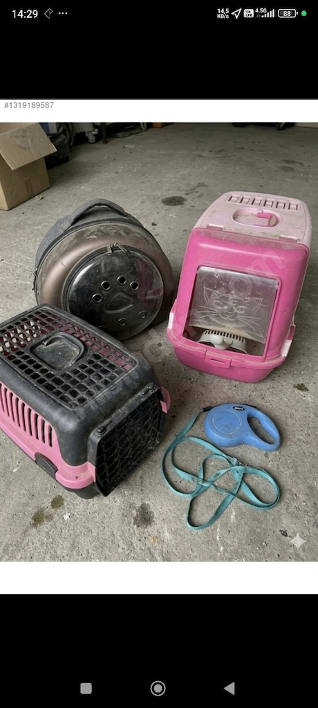Kedi ihtiyaç ürünleri toplu - 2