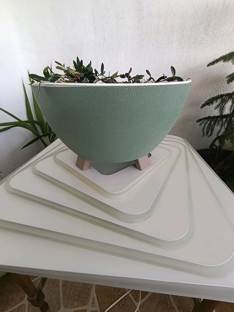 bonsai - 5