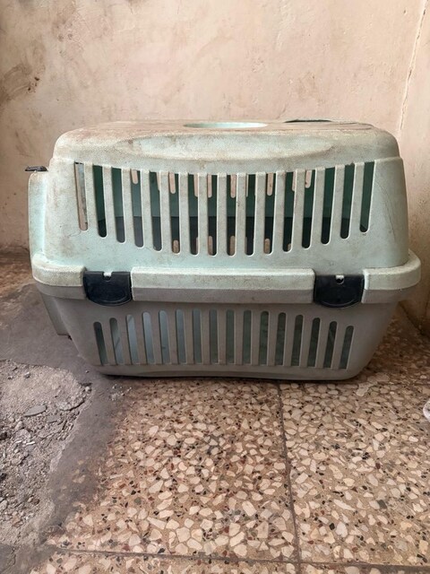 Köpek Kedi Taşıma Kafesi
