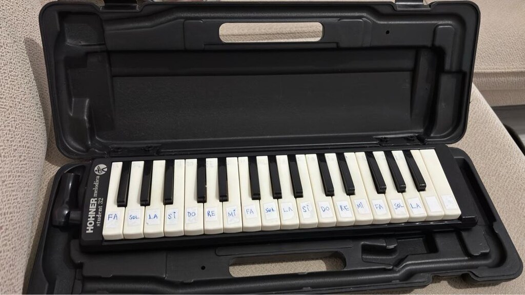 hohner melodika - 2