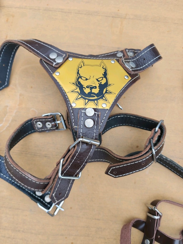 köpek tasması - 2