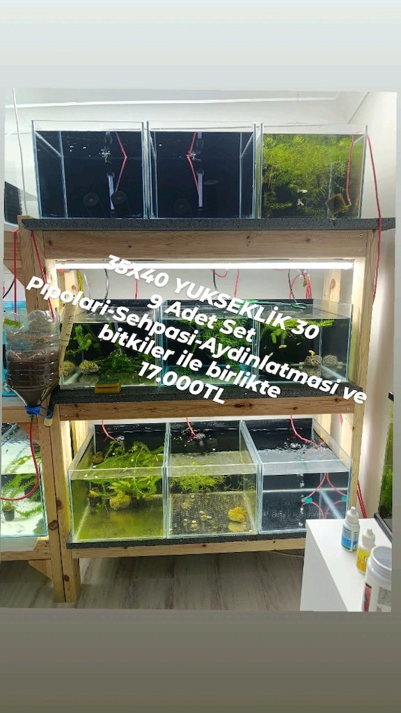 Komple Akvaryum Set Takas Olur - 3