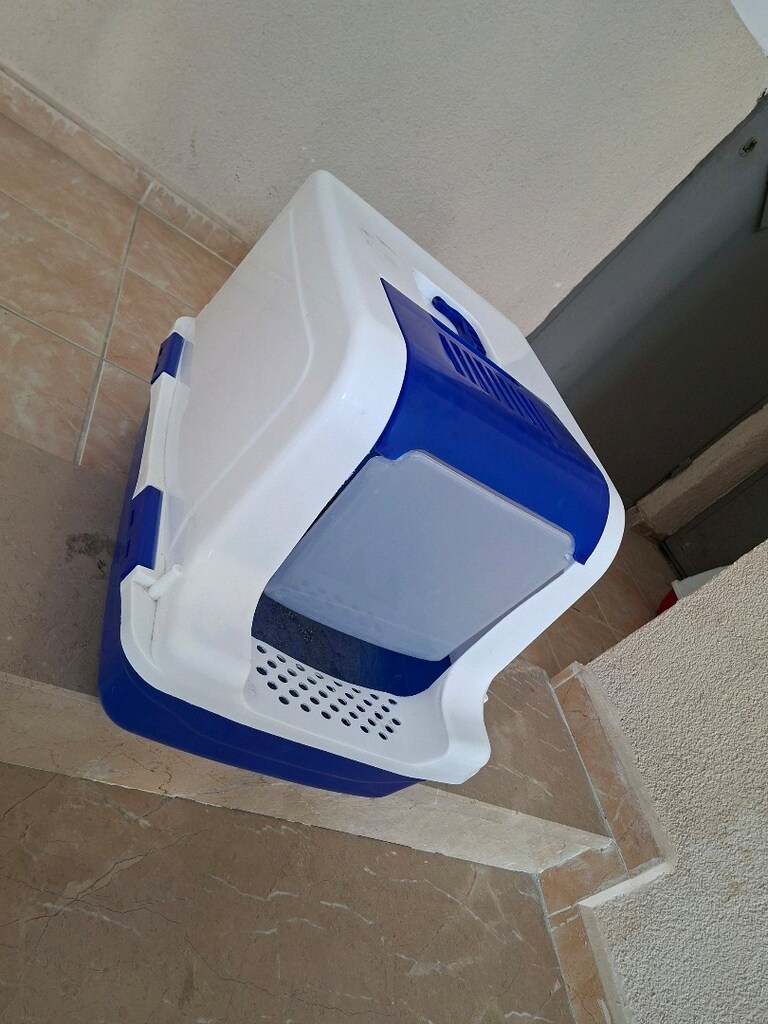 Büyük Kedi Tuvalet - 2