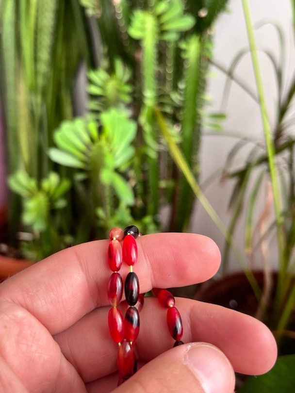 renk cümbüşü sıkma kehribar - 4