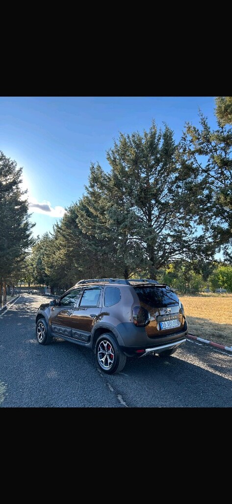 Dağ keçisi - 12