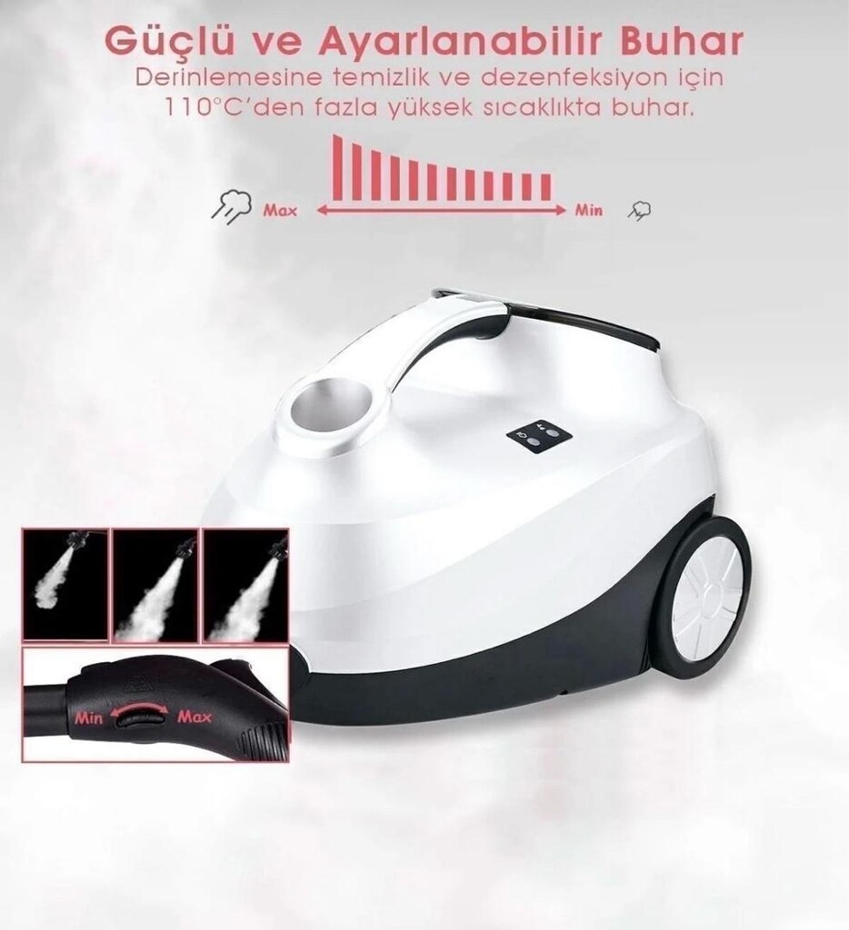 pirantech buhar makinası - 3