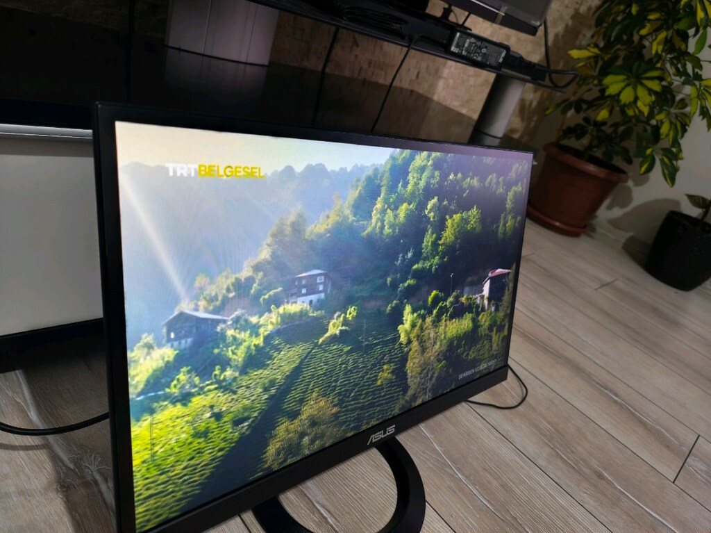 Asus monitör - 5