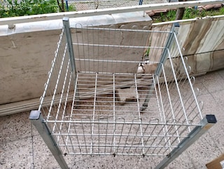 MARKET HAVUZ SEPETİ 2 TANE - 2