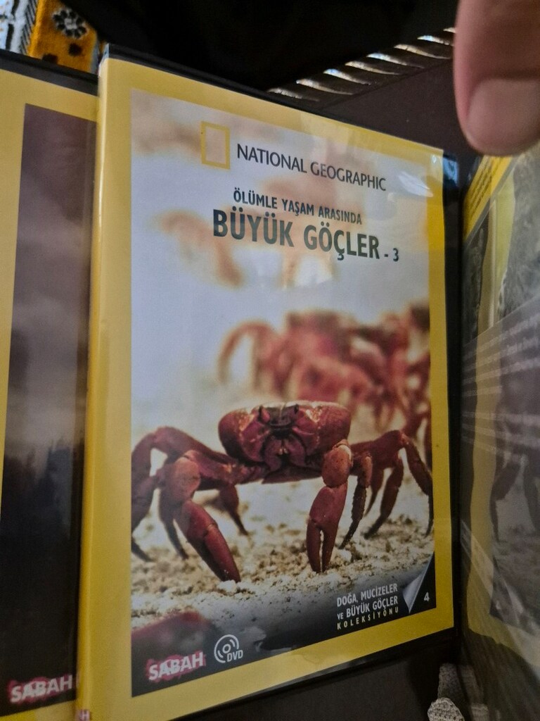 30 ADET NATIONAL GEOGRAPHIC CD - 3