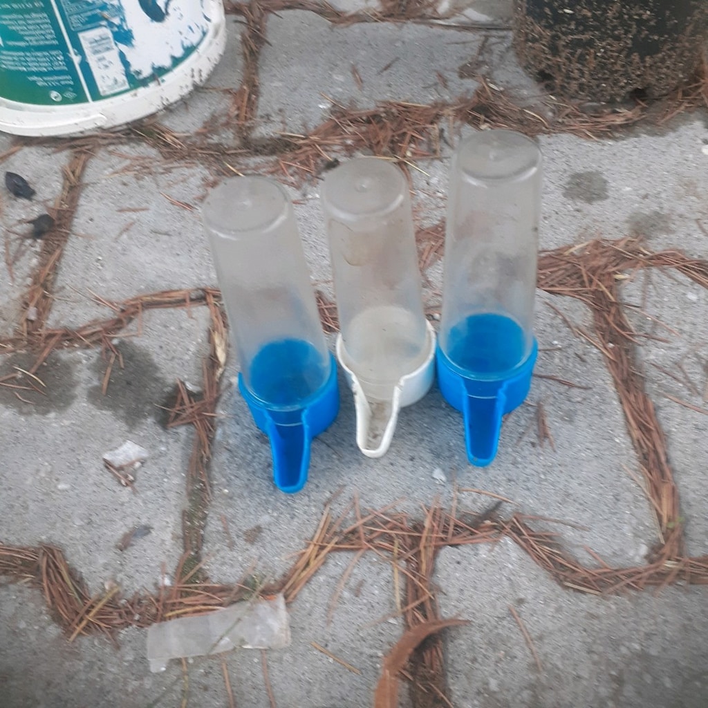 muhabbet ve kafes kuşları ekipmanları - 4