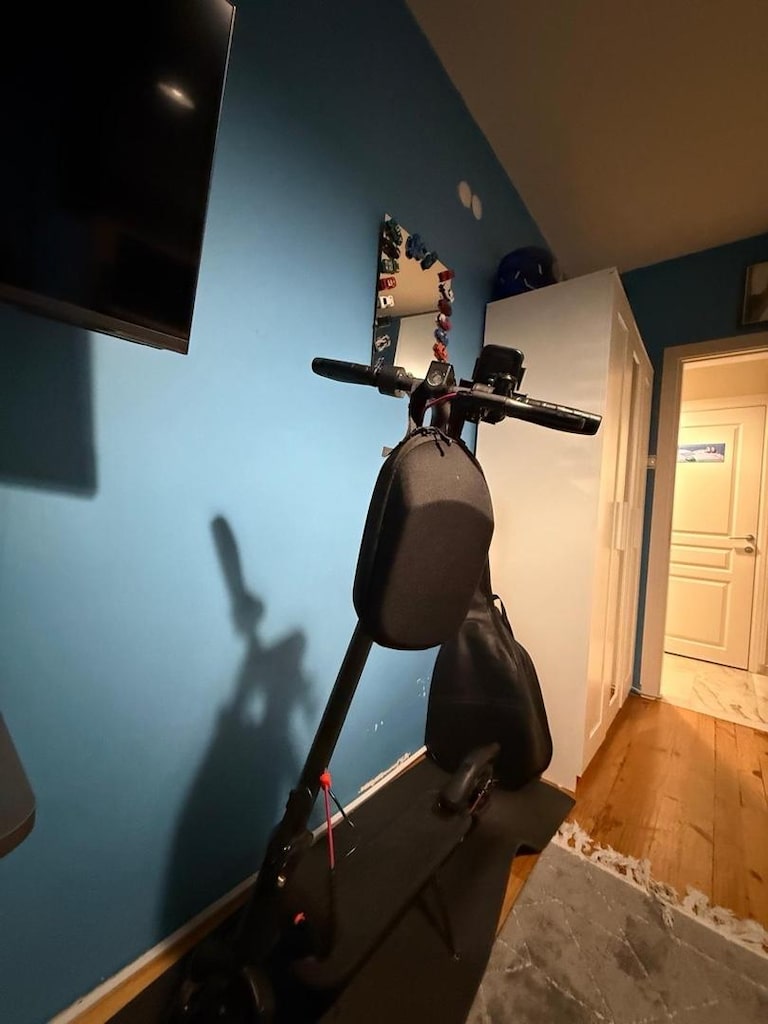scooter - 3