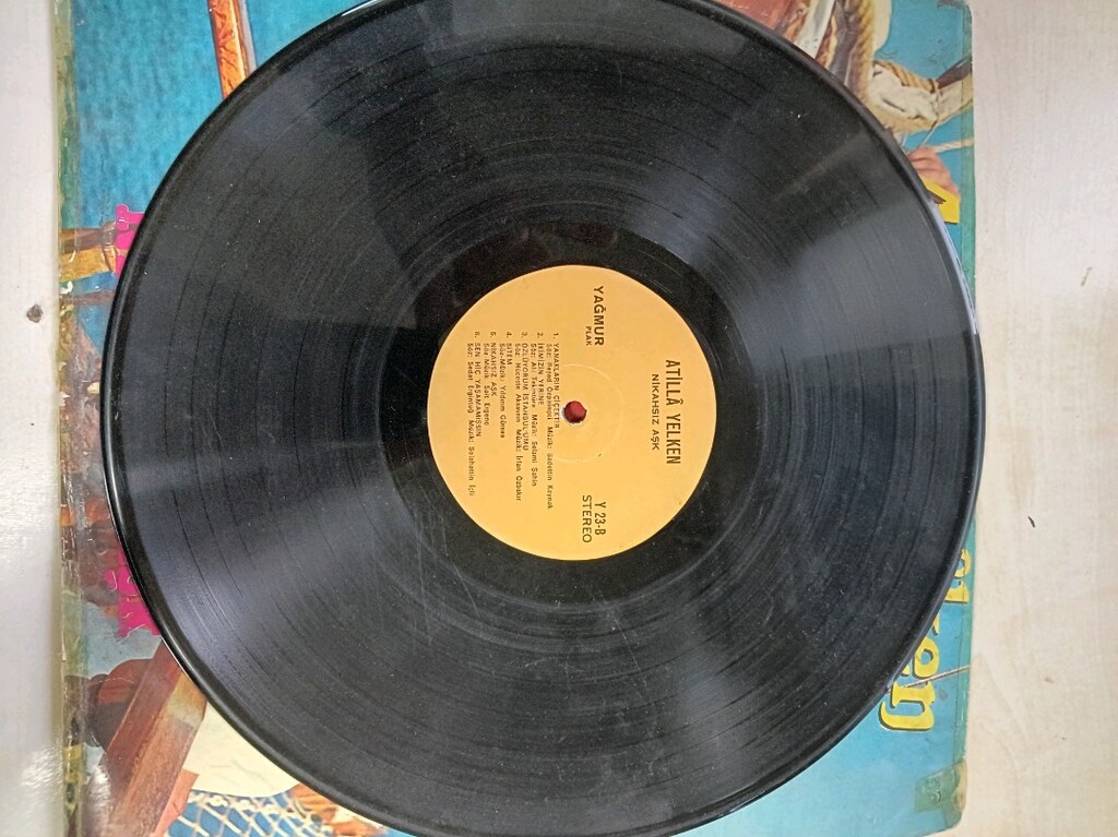 Plak 1979 yapımı - 3