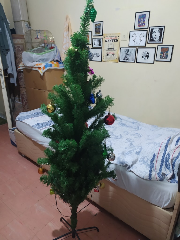 Yılbaşı ağacı ve Süsleri