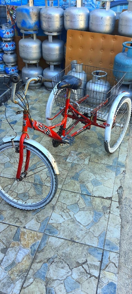 3 teker Kargo bisikleti - 2
