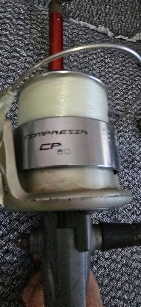 SATILIK – Compresa CP Balık Kamışlı Olta - 4