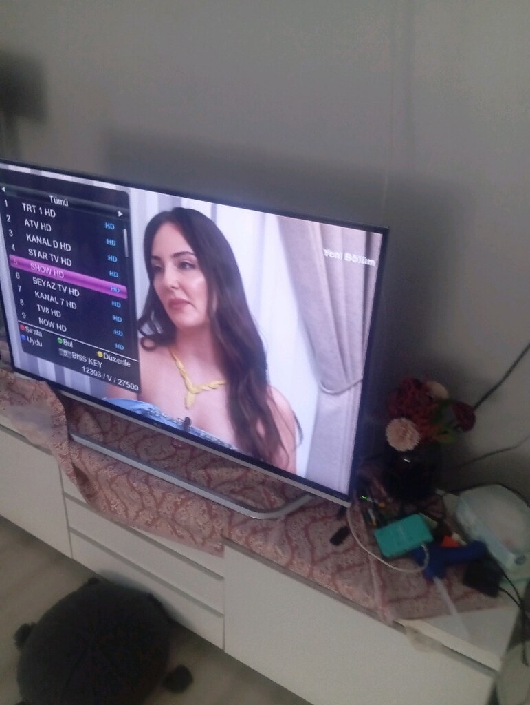 SCART ile çalışan uydu alıcısı. tüplü tv de kullanılır - 2