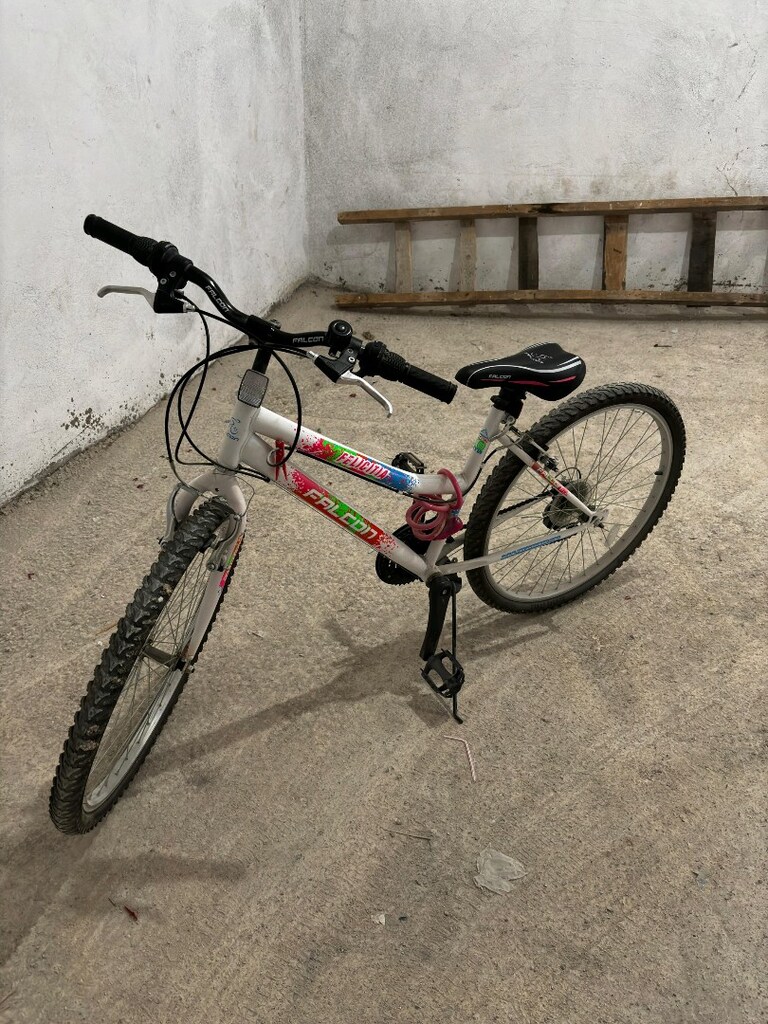 falcon bisiklet temiz - 2