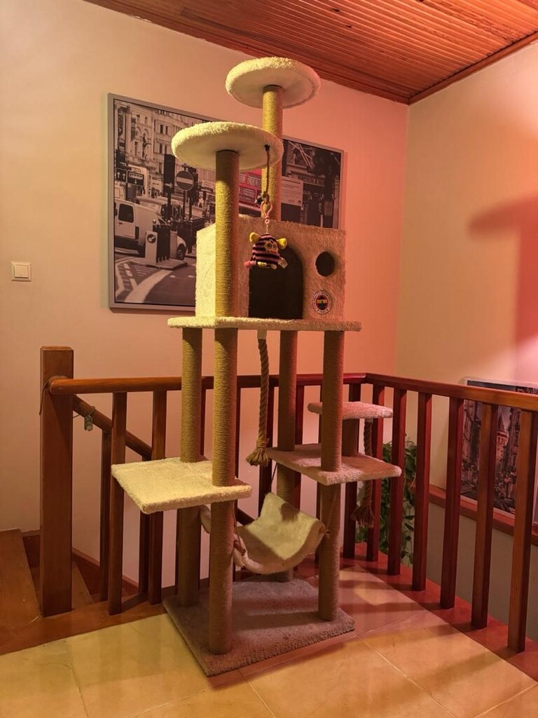 Çok Katlı Kedi Tırmalama Evi & Oyun Platformu - 2
