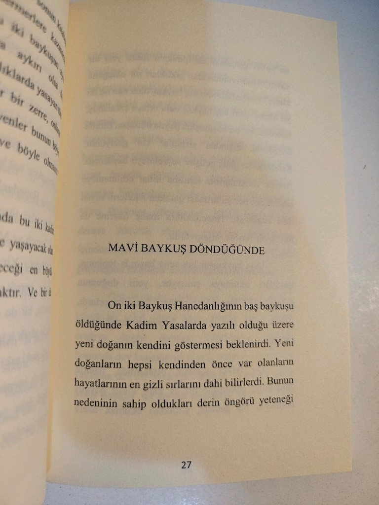 mavi baykuş döndüğünde... Burcu Özen - 6