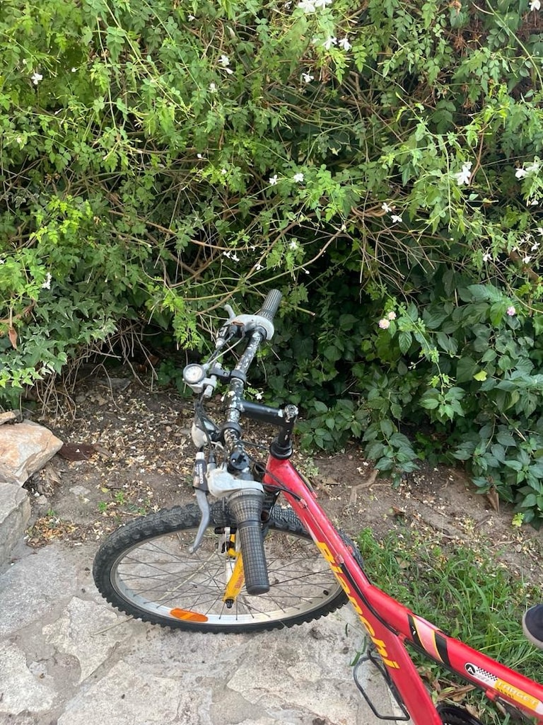 Bianchi 26 Jant Dağ Bisikleti - 3