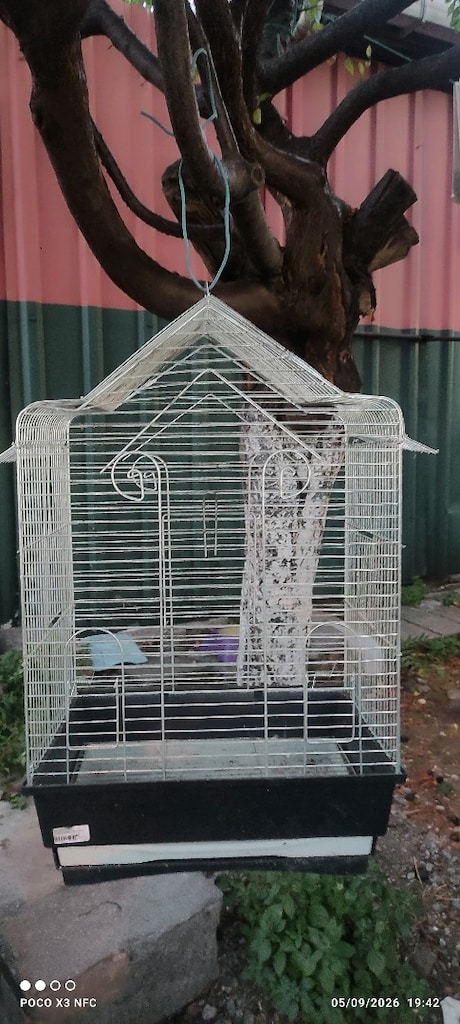 Kuş kafesi - 5