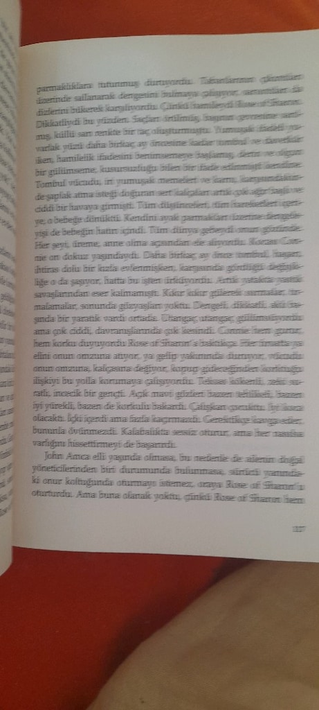 GAZAP ÜZÜMLERİ, JOHN STEİNBECK - 3
