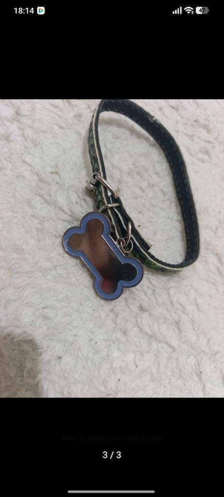 kedi tasması - 3