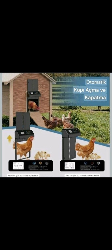 Otomatik Kümes Kapısı - 6