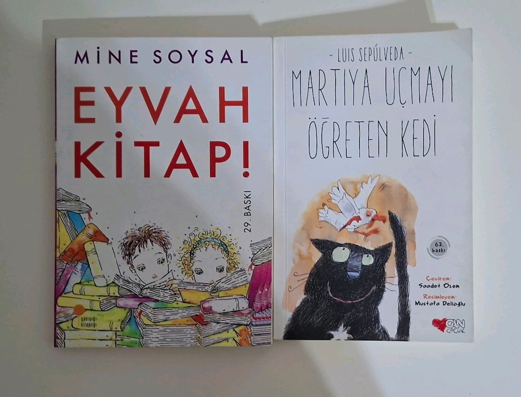 Toplu kitap seti - 2