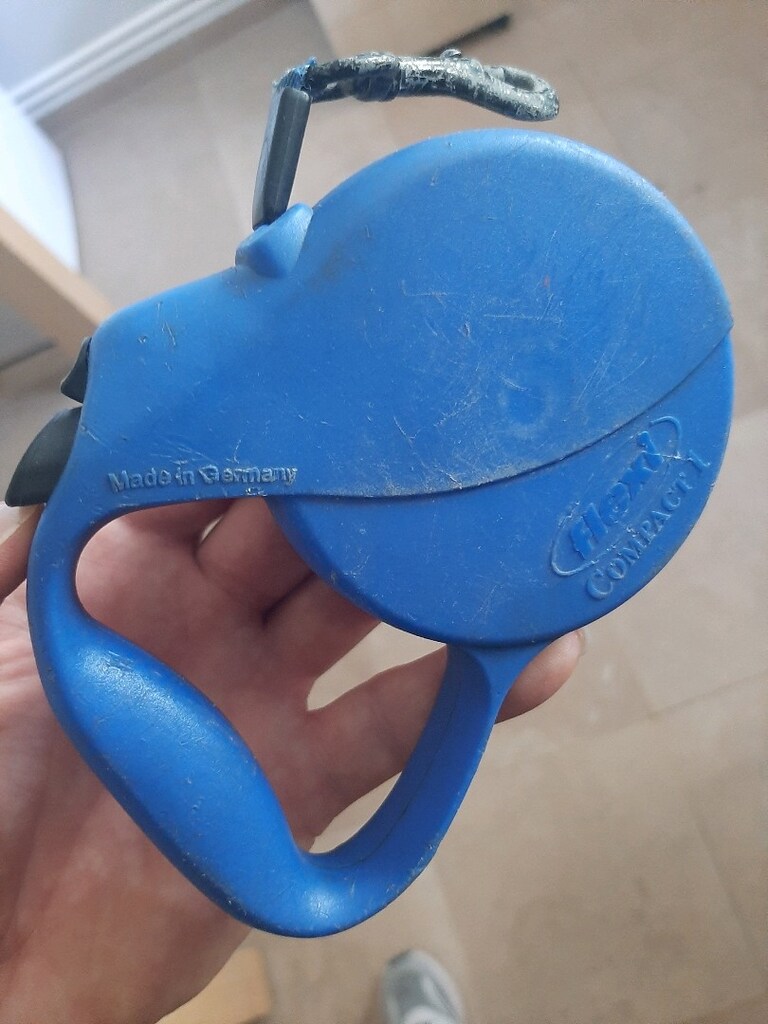 flexi kedi köpek tasması alman malı 5 metrelik - 3