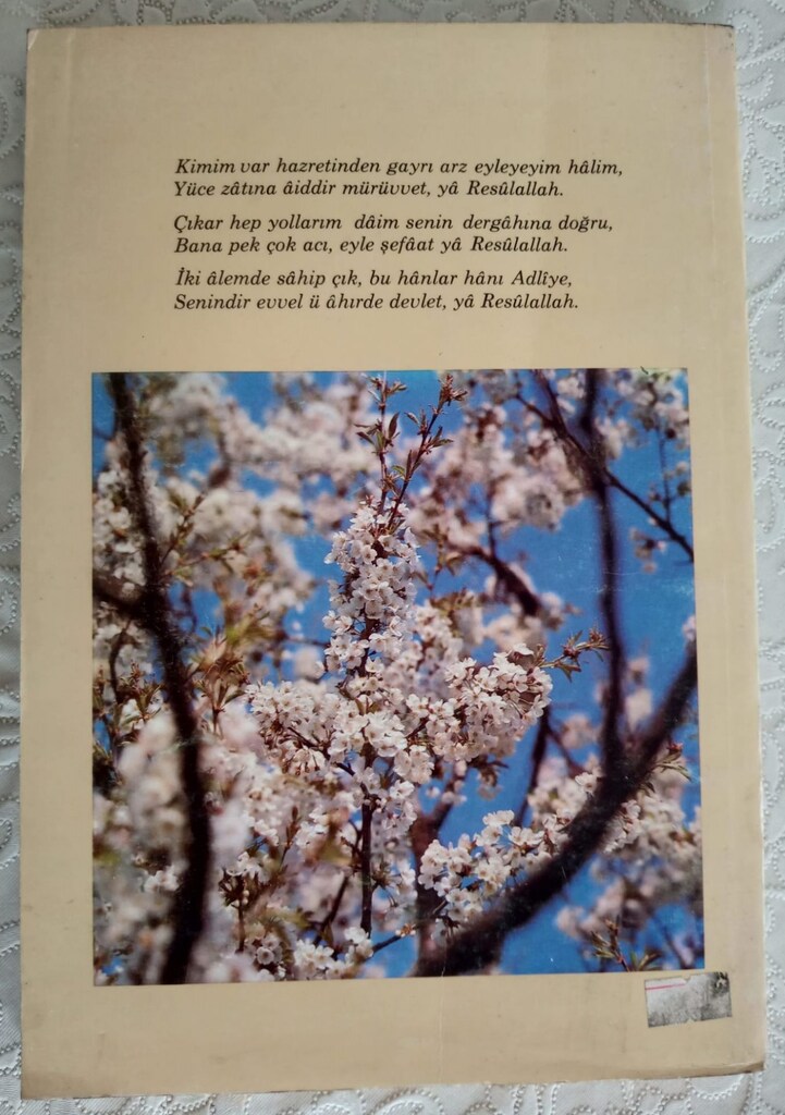 PEYGAMBERLER TARİHİ ANSİKLOPEDİSİ - 3