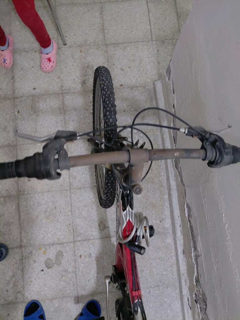 Bianchi Bisiklet - 4