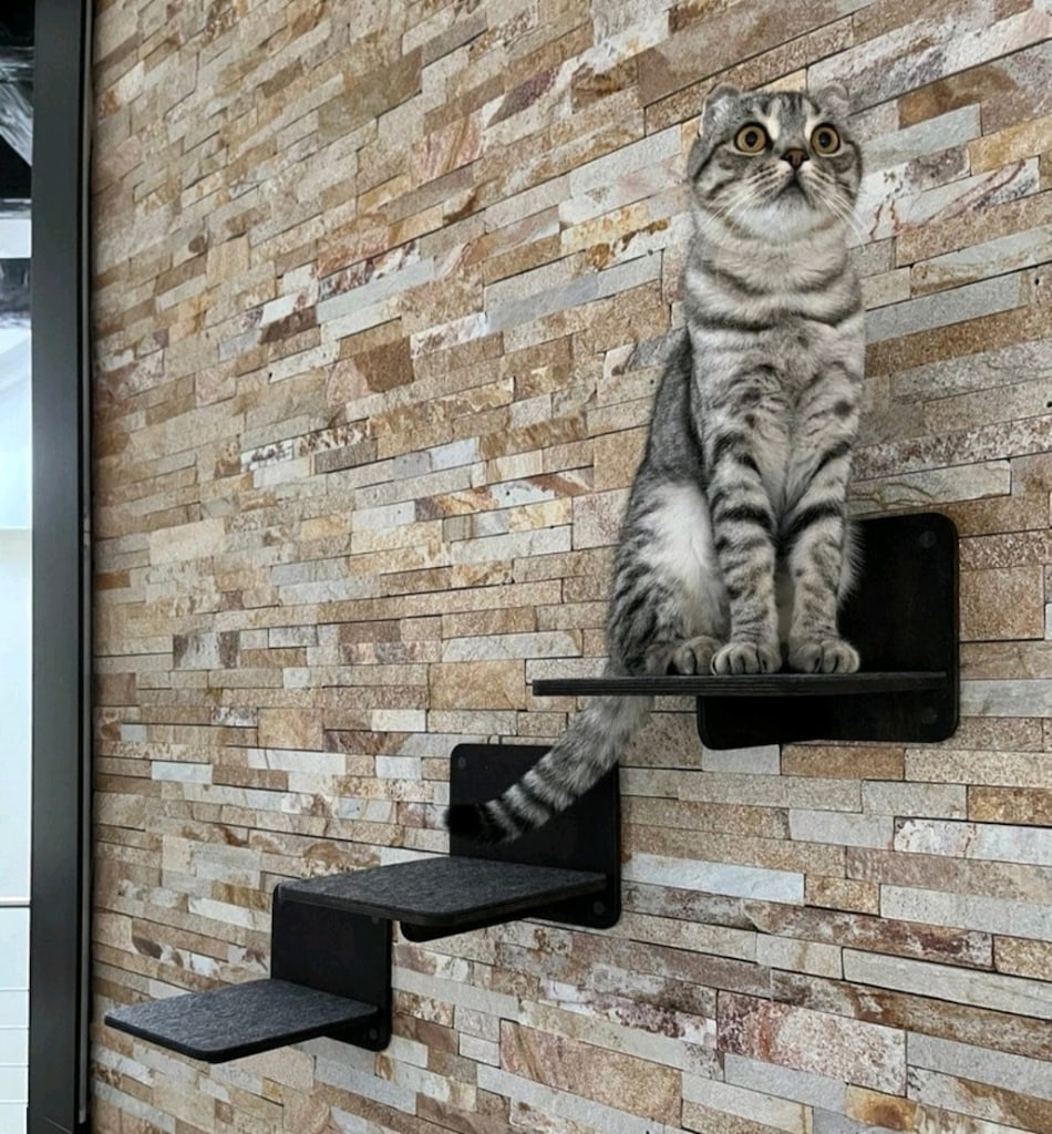 Her Mekana Uygun Kedi Basamak Kolay Silinir Toptan Satış İmalattan - 3