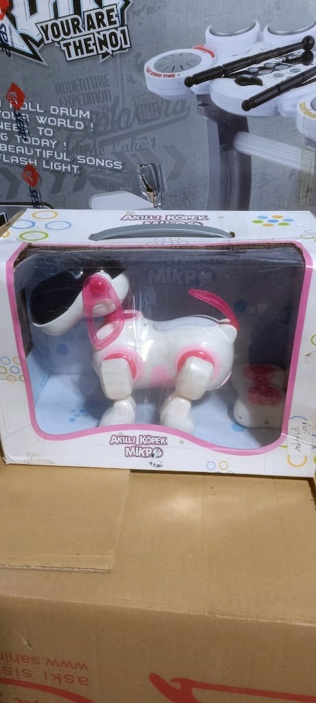 Akıllı Robot Köpek - 6