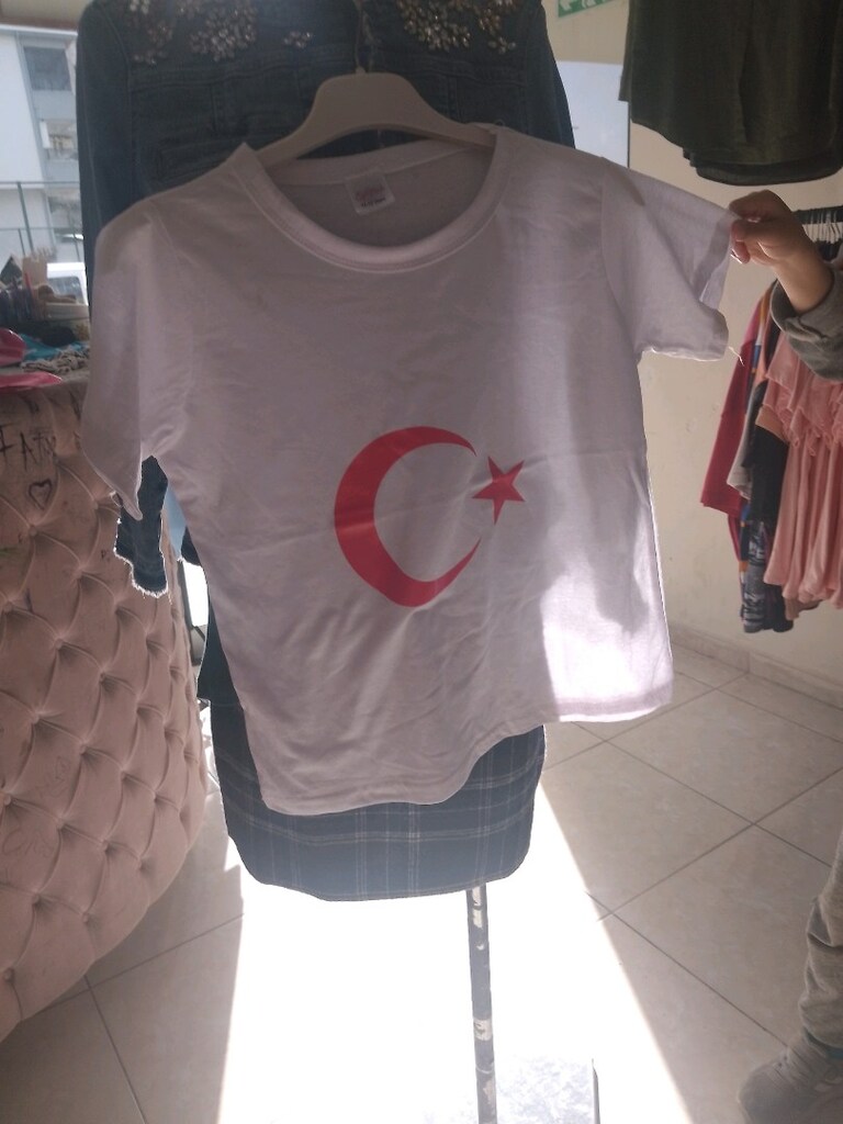 toptan satlik 300 adet bayram Atatürk baskılı tsort - 5
