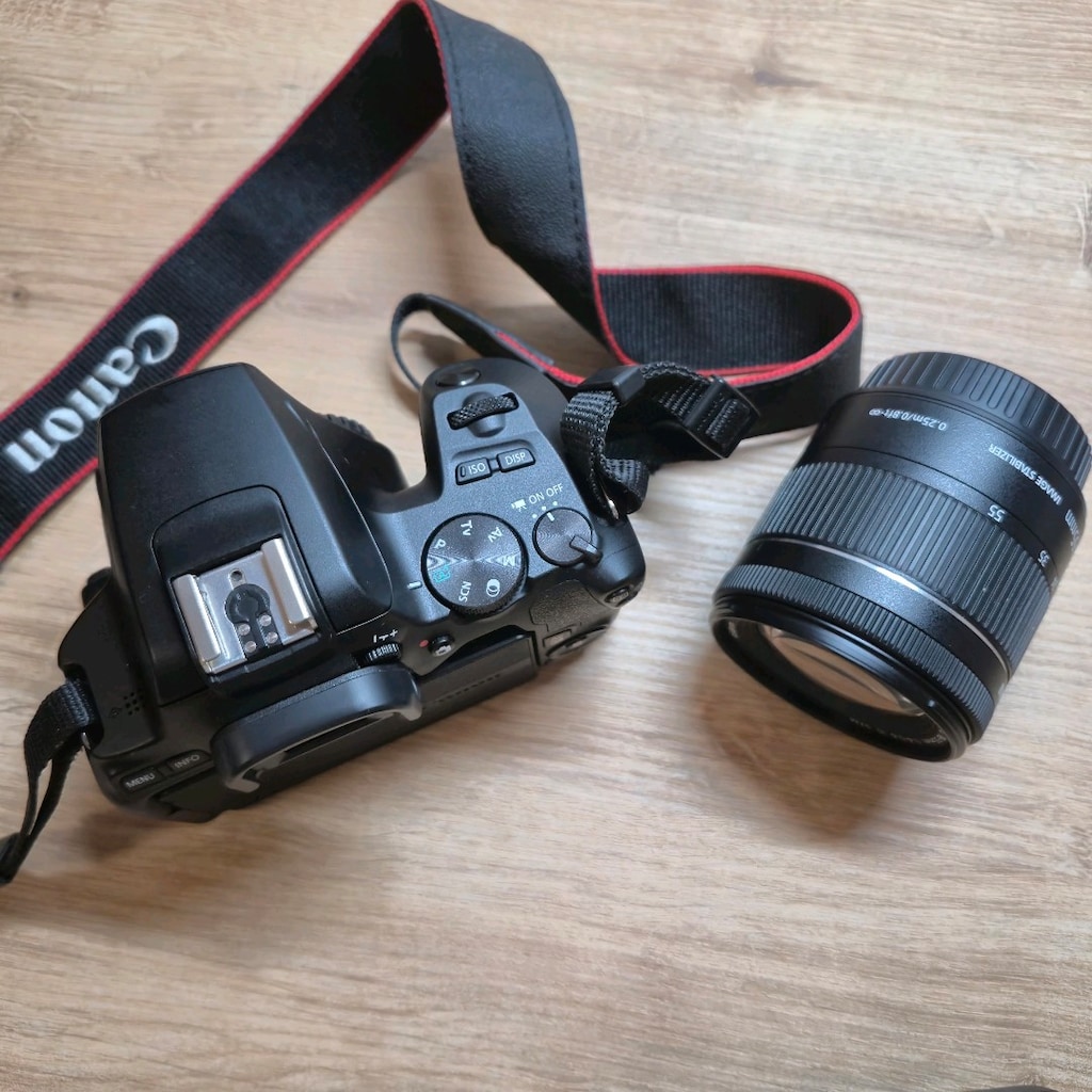 Canon EOS 250D + 18-55mm IS STM Lens - 7