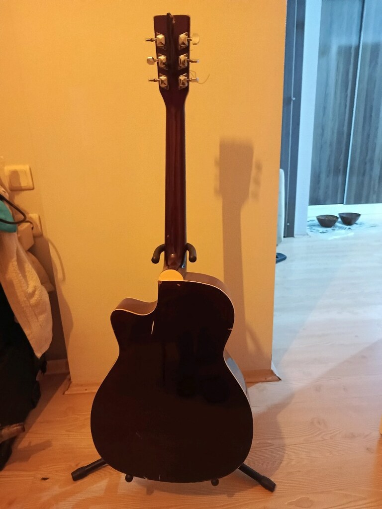 Eagle Akustik gitar - 5