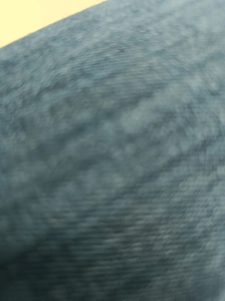 Kot