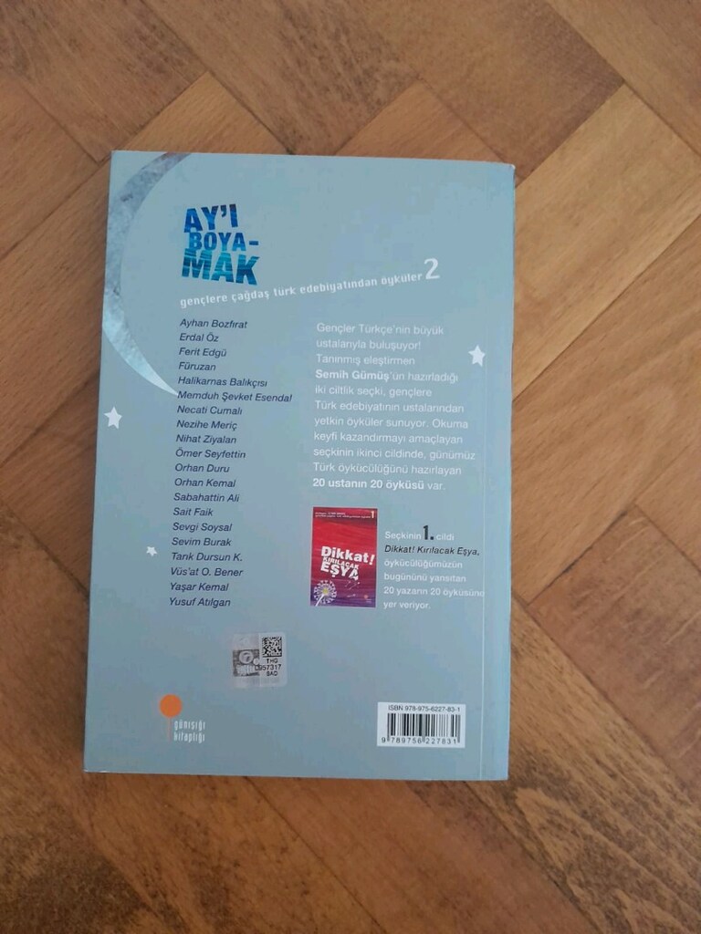 Ay'ı Boyamak kitabı - 3