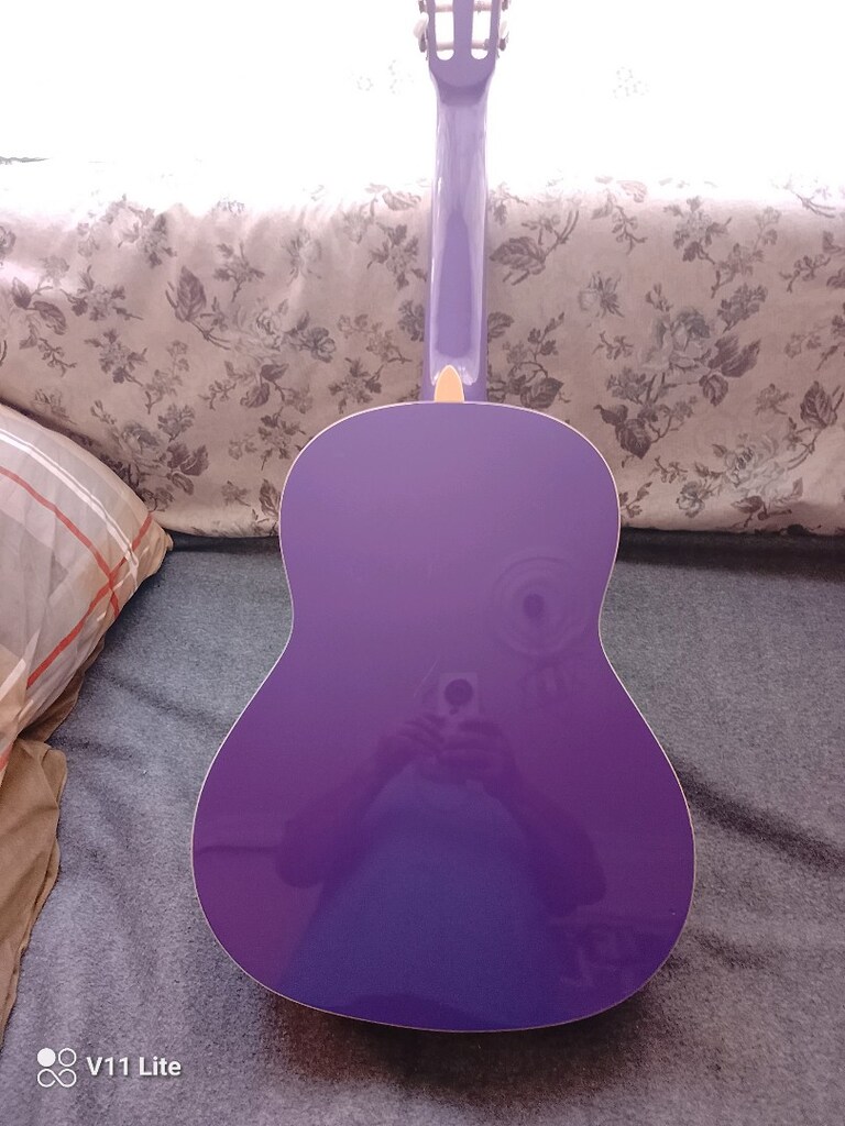 Masterwork gitar - 11