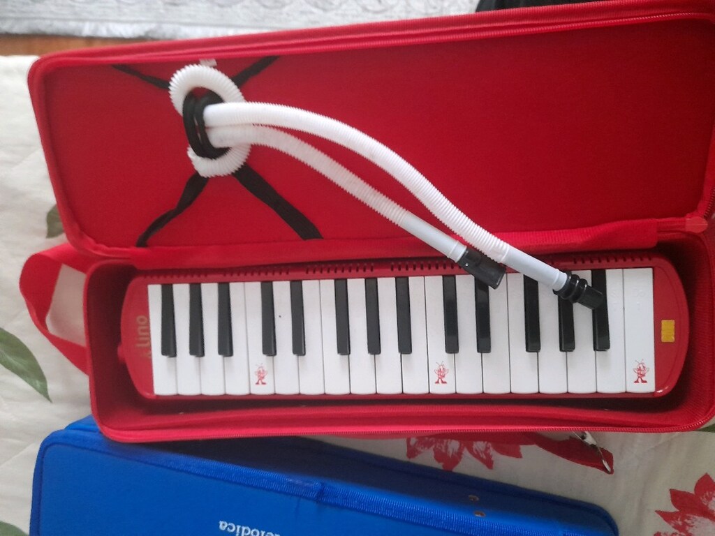 lino32k müzik aleti - 5