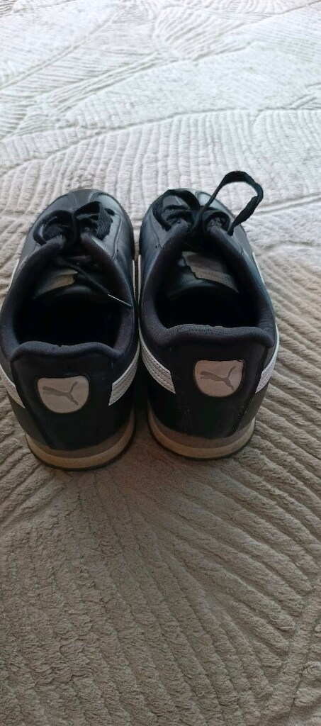 kinetix puma - 5