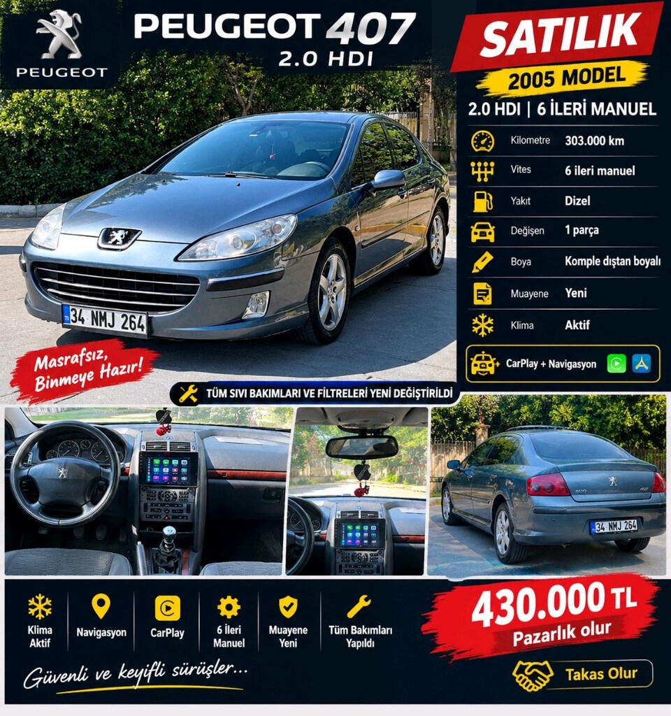 Pejo 407 2.0 HDI - 13